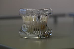 dentures
