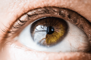 Brown eye